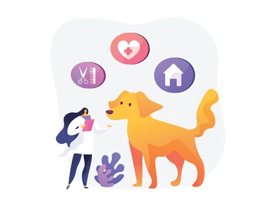 FAQs Page a women and a dog with some symbols
