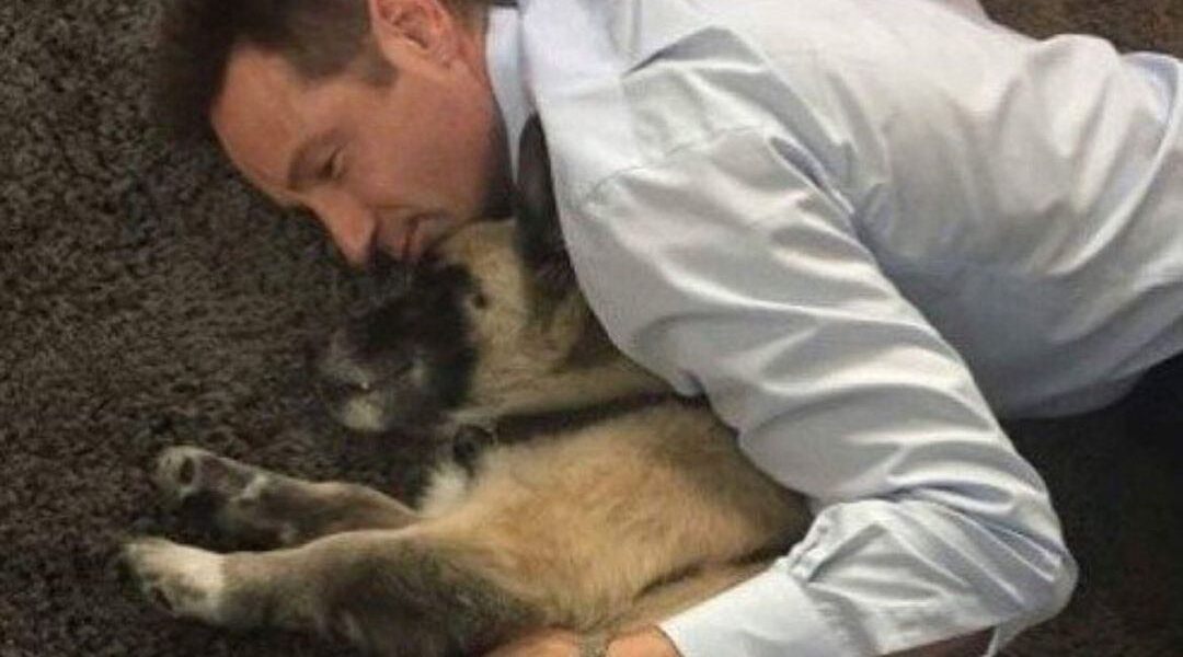 DAVID DUCHOVNY ANNOUNCES DEATH OF BELOVED RESCUE DOG BRICK: SHARES BEAUTIFUL POEM AS TRIBUTE