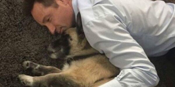 DAVID DUCHOVNY ANNOUNCES DEATH OF BELOVED RESCUE DOG BRICK: SHARES BEAUTIFUL POEM AS TRIBUTE